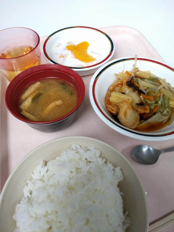 本日の昼食