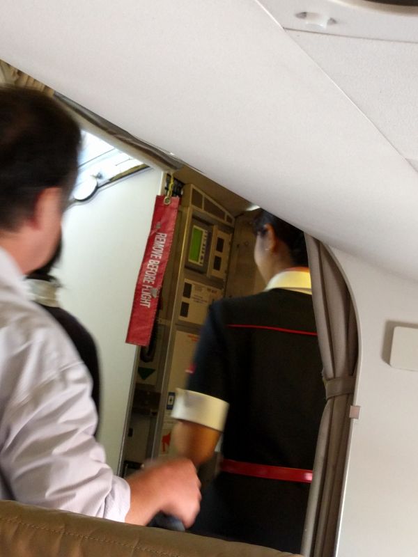 REMOVE BEFORE FLIGHT