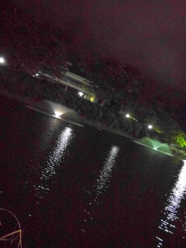 夜の千秋公園