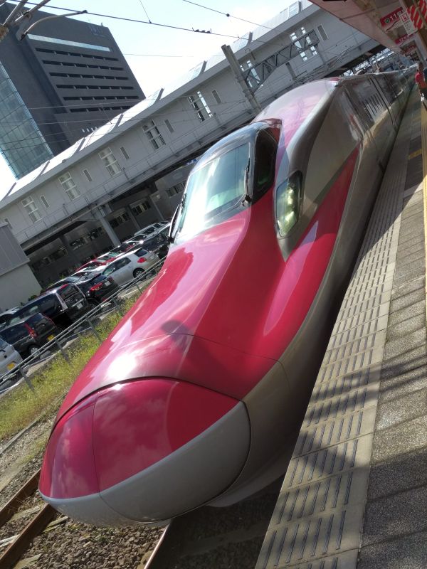 本日の車両