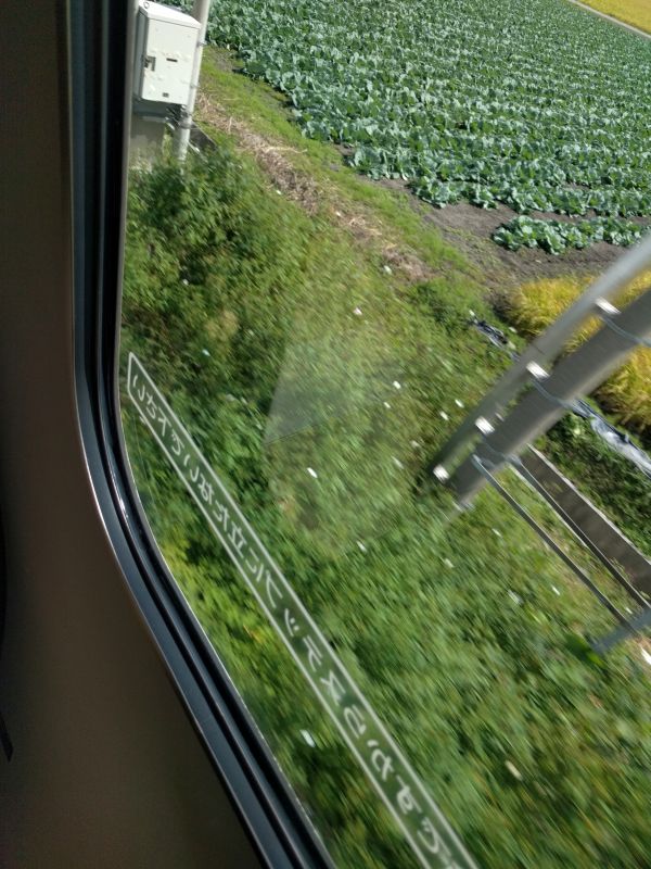 線路が単線