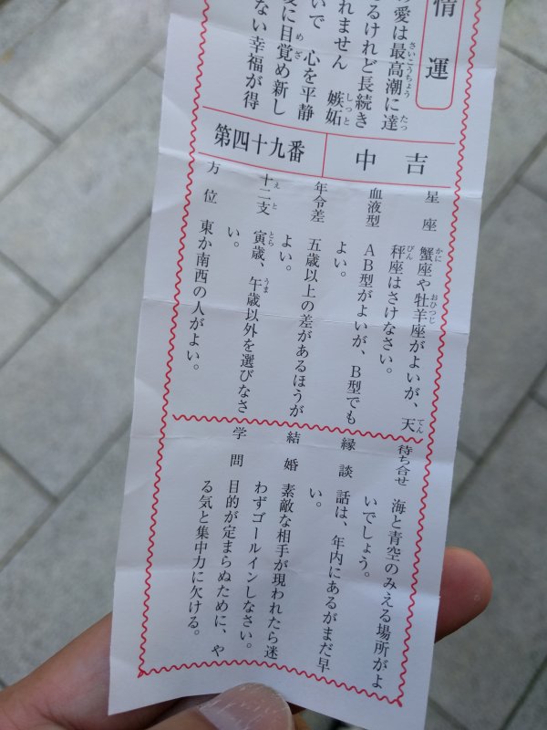 本日のおみくじ２
