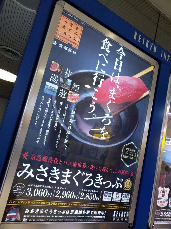 今日は、まぐろを食べに行こう。