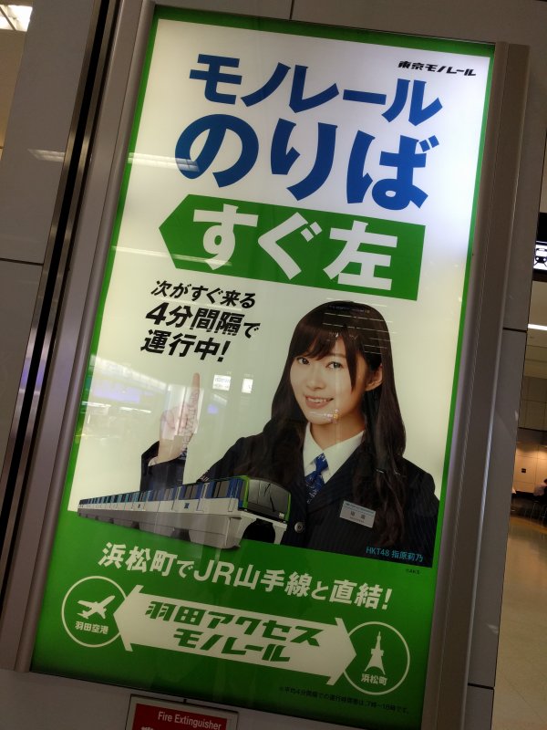 本日のさしこ