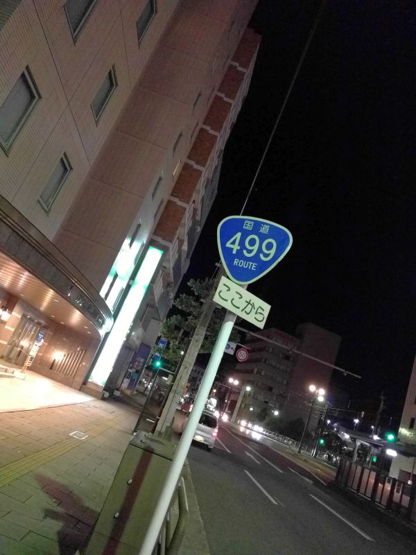 国道499号線