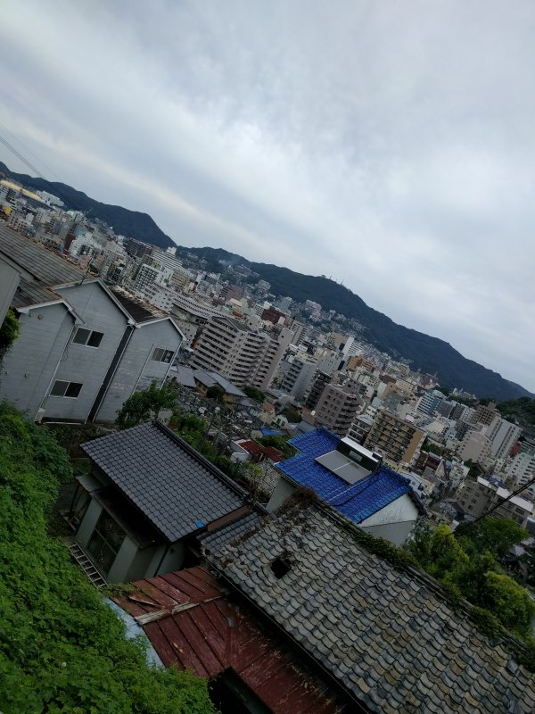 庭からの風景