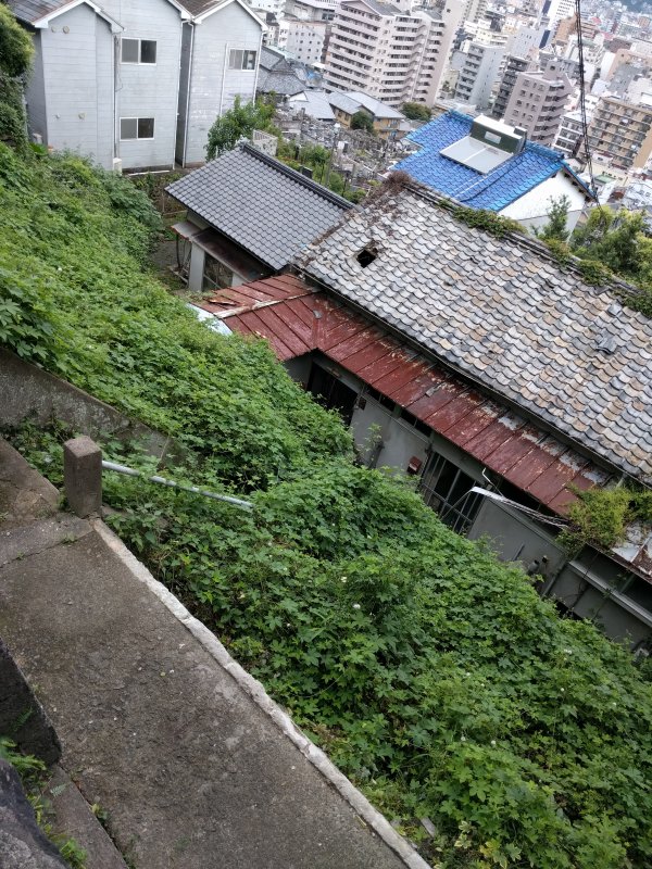 下の家