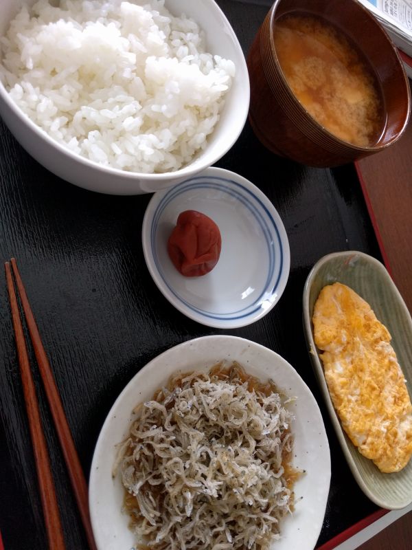 本日の朝食