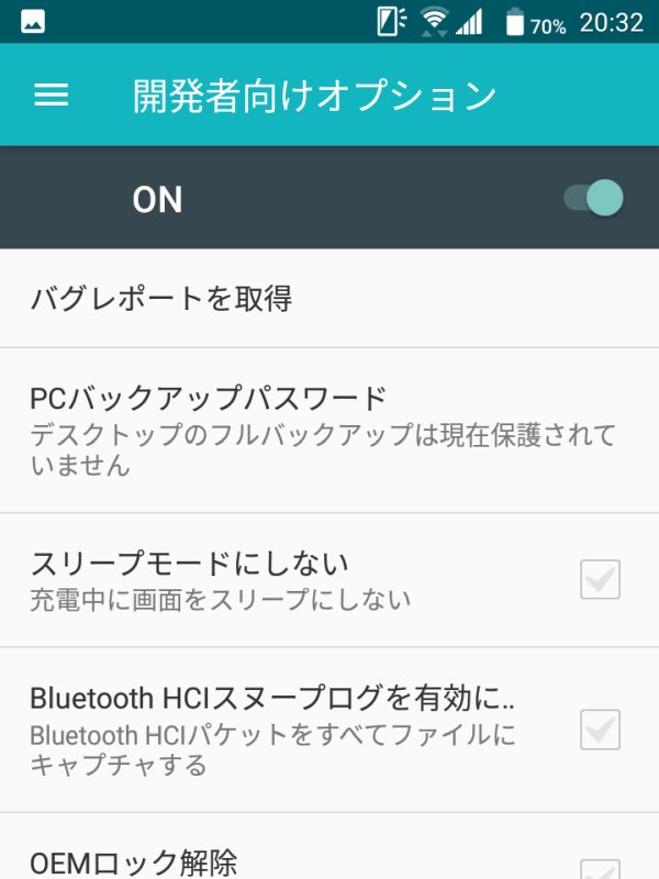 開発者向けオプション