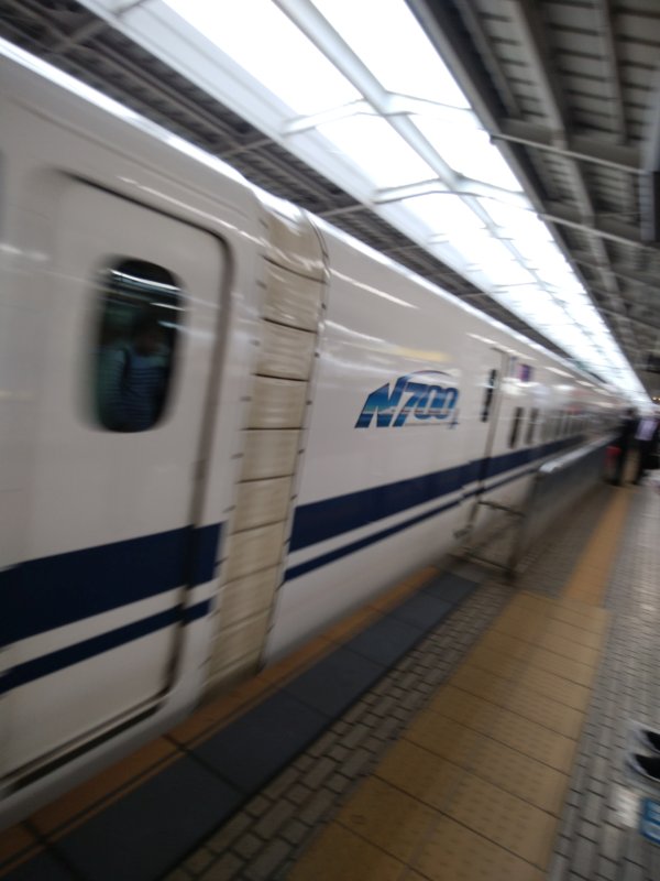 本日の車両