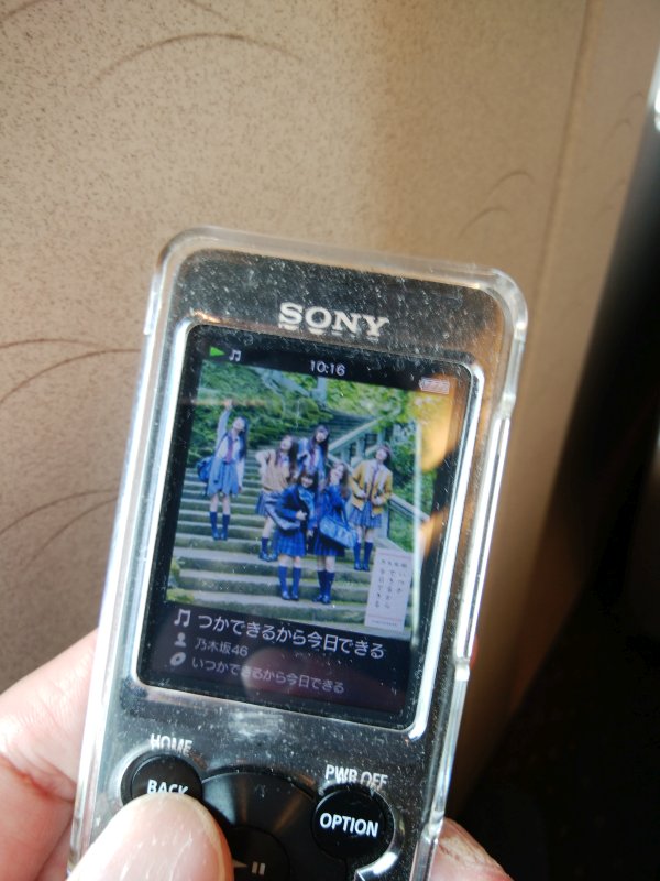 本日のBGM