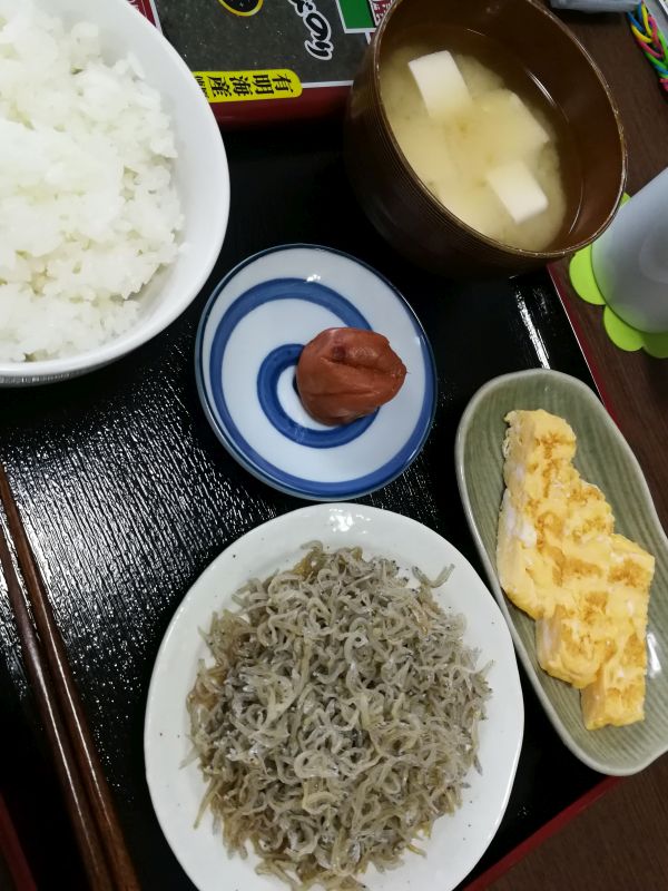 本日の朝食兼昼食