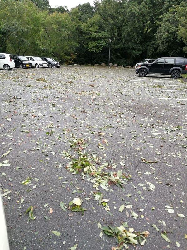 仕事場の駐車場