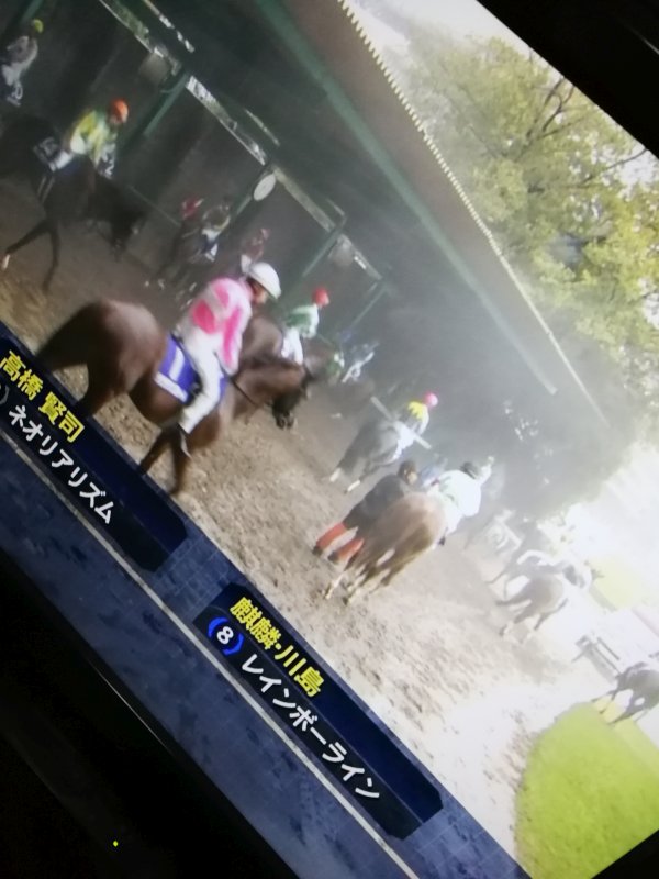 本日の馬場状態