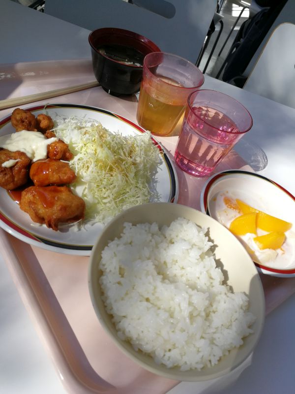 本日の昼食