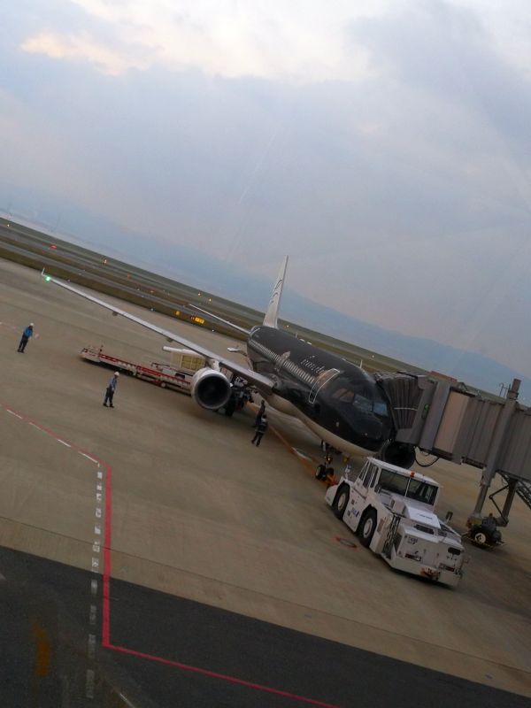 本日の飛行機
