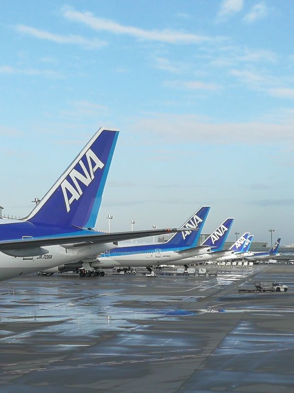 本日の羽田空港