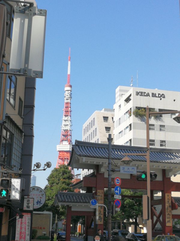 本日の東京タワー