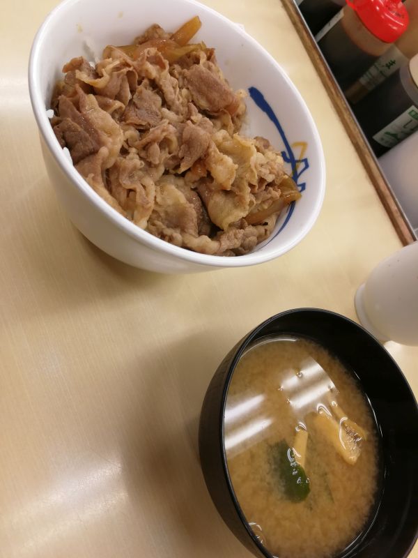 本日の夕食