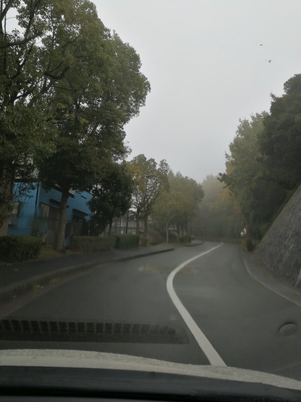 本日の空模様