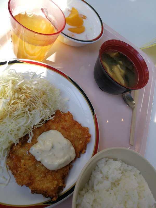 本日の昼食