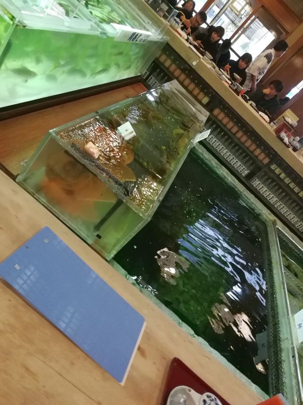 カウンター席の目の前