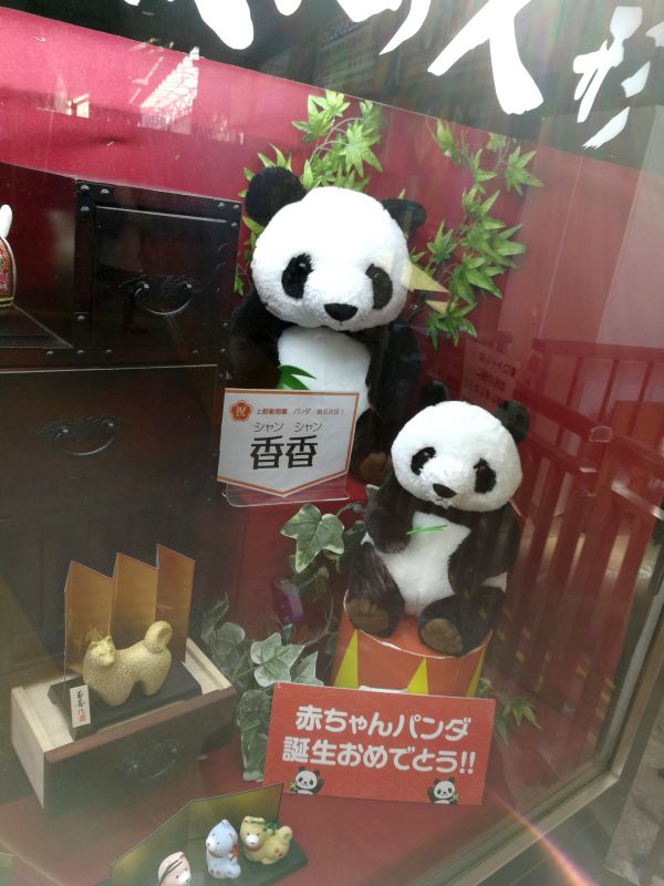 シャンシャン
