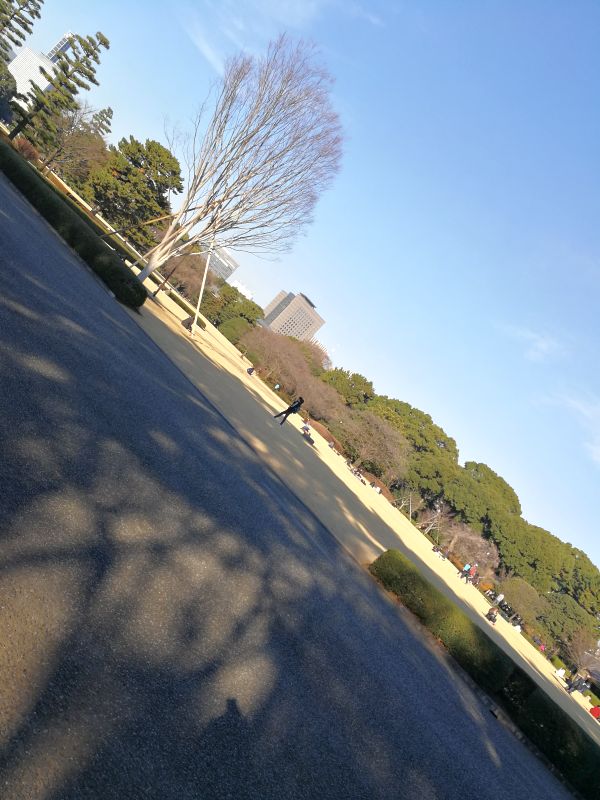 本丸跡地