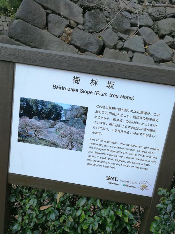 梅林坂
