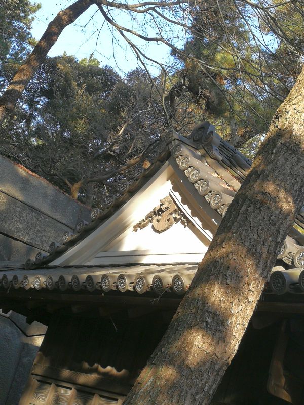 皇室の菊の紋