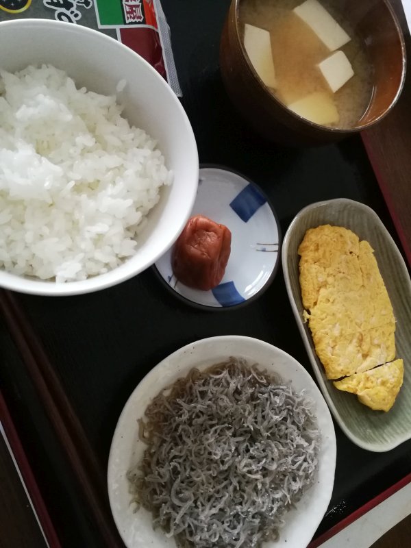 本日の朝食兼昼食