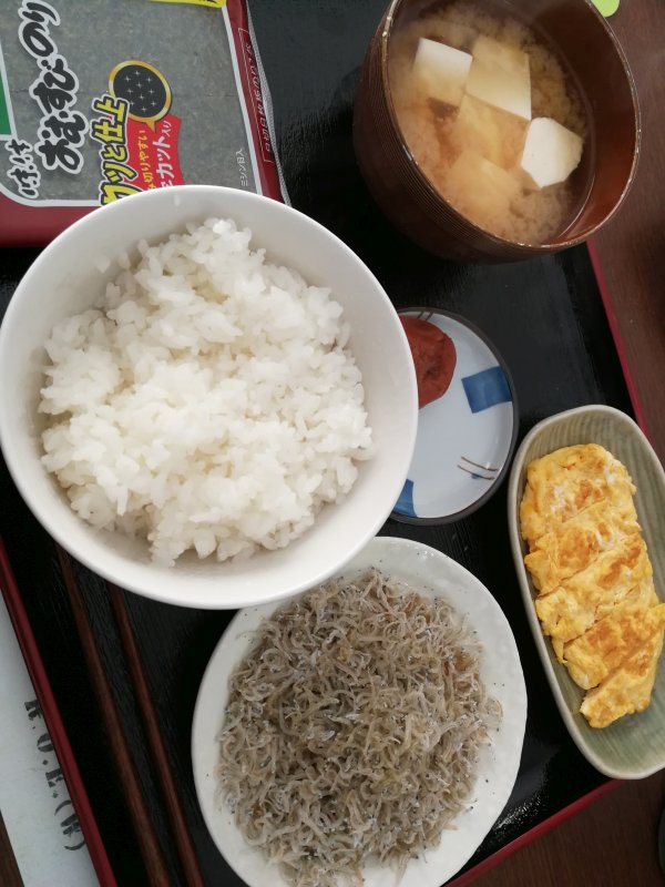 本日の朝食兼昼食