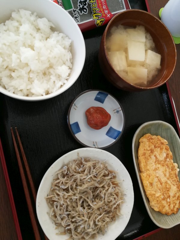 本日の朝食兼昼食