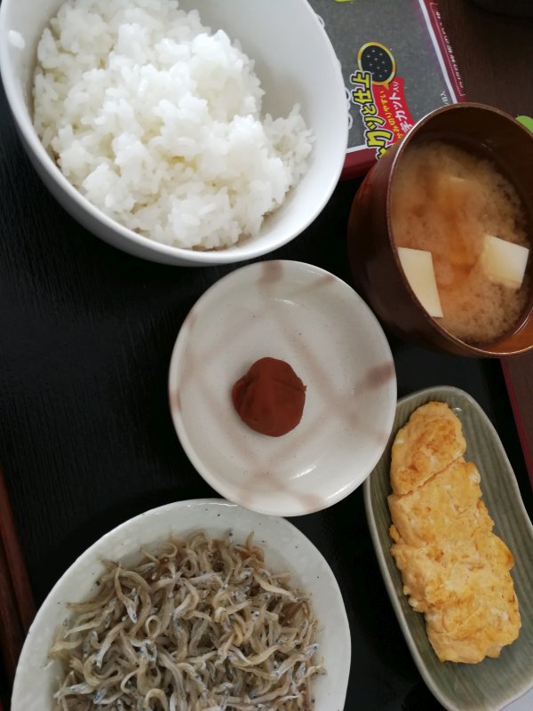 本日の朝食兼昼食