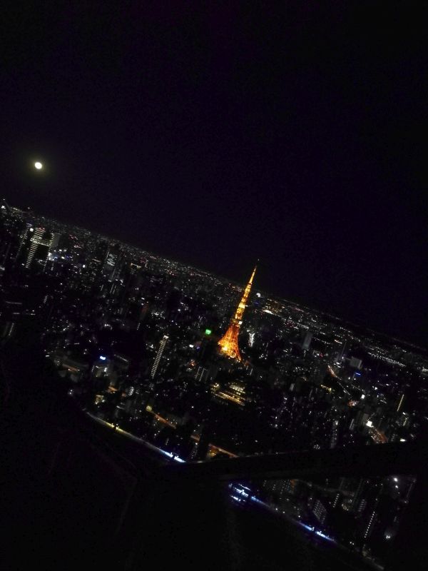 屋上からの東京タワー
