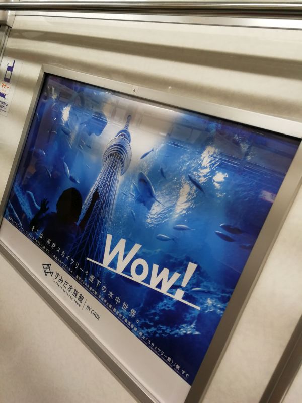 すみだ水族館