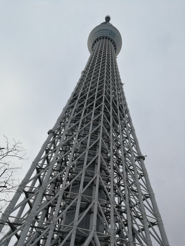 本日のスカイツリー