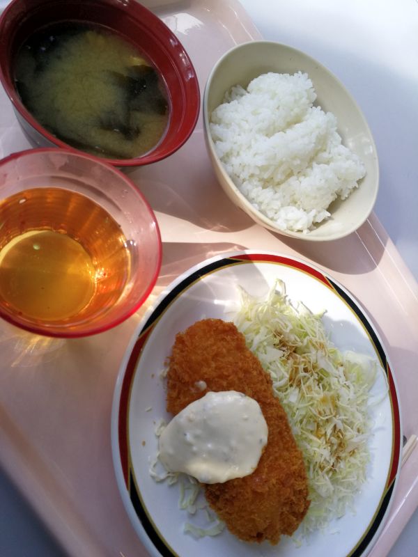 本日の昼食