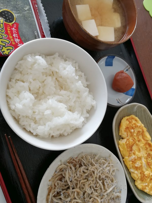 本日の朝食兼昼食