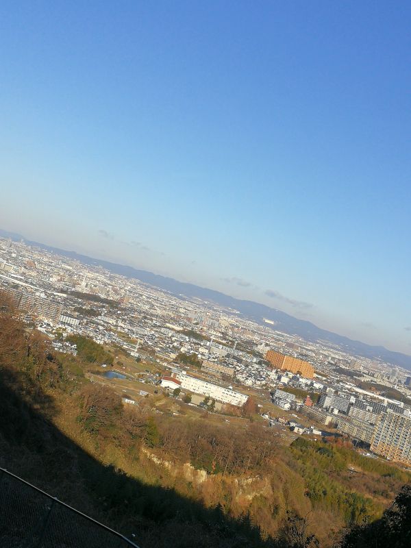 本日の風景