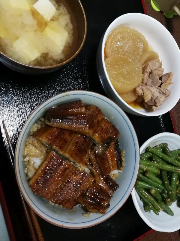 本日の夕食