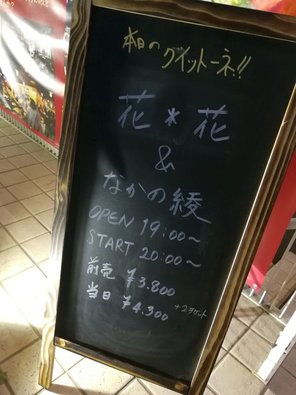 本日のライブ