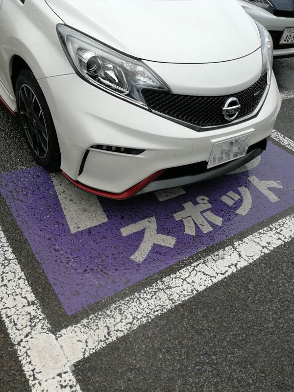 駐車例