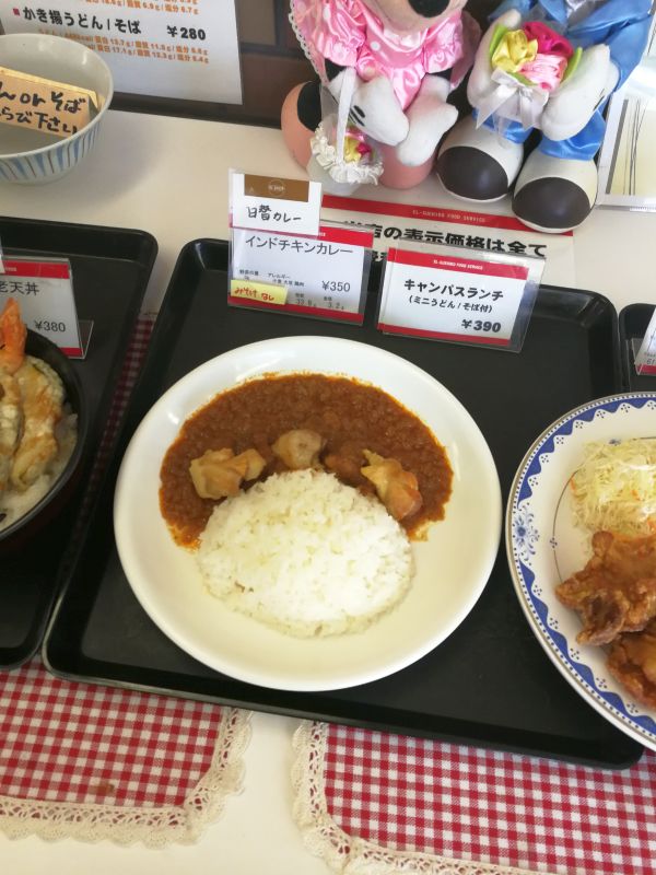 インドチキンカレー