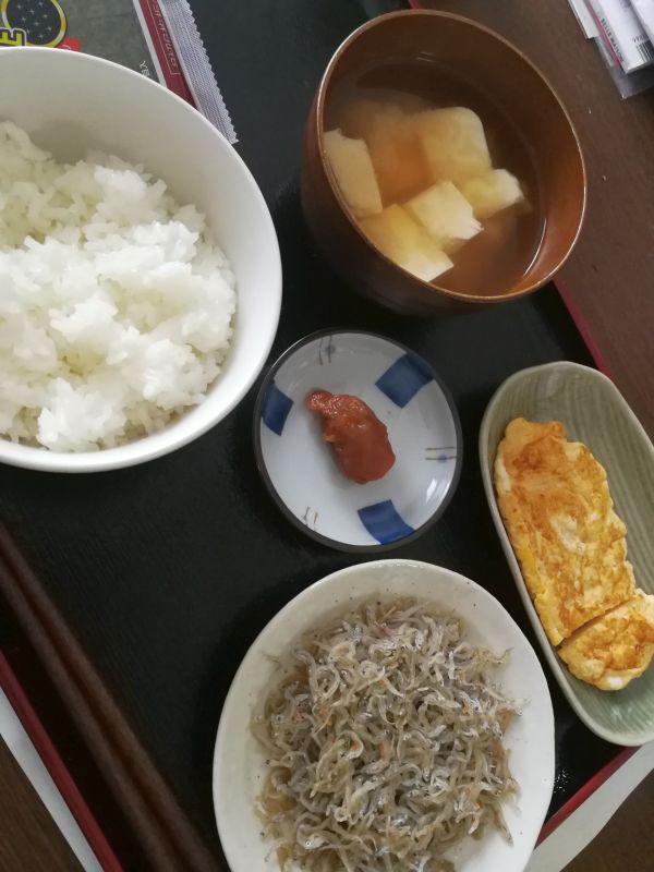 本日の朝食兼昼食