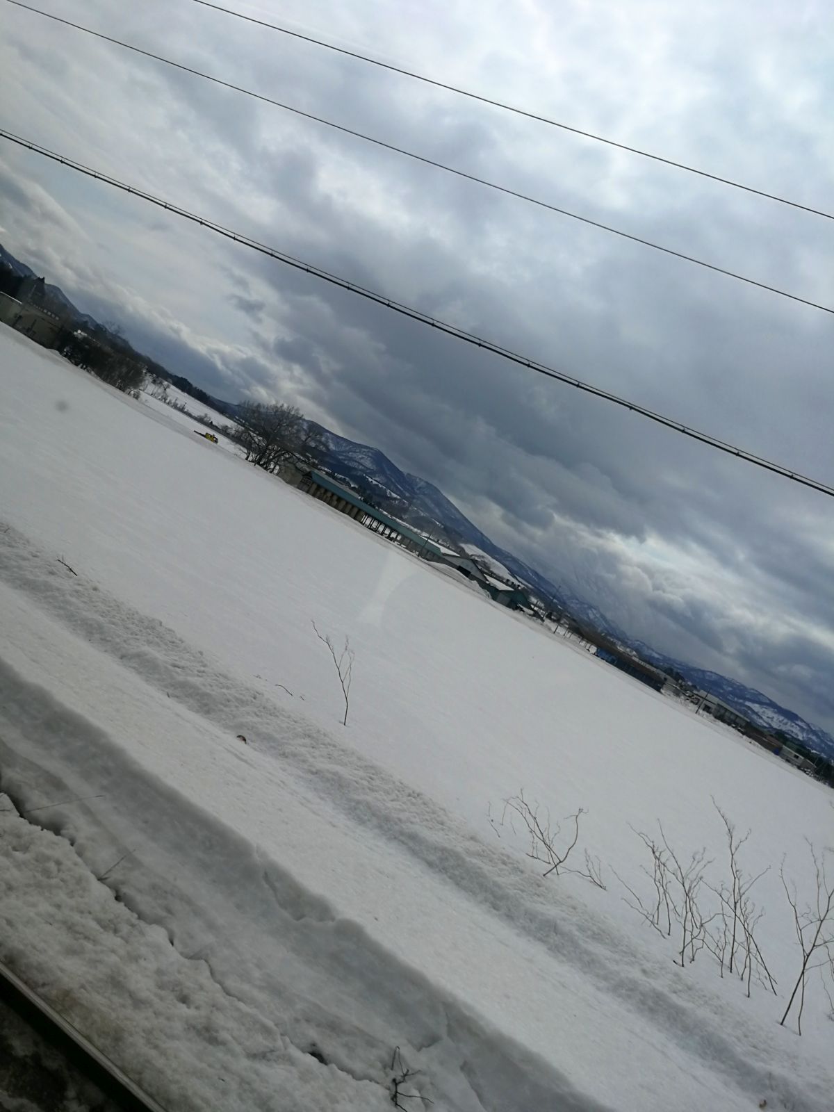 雪原風景