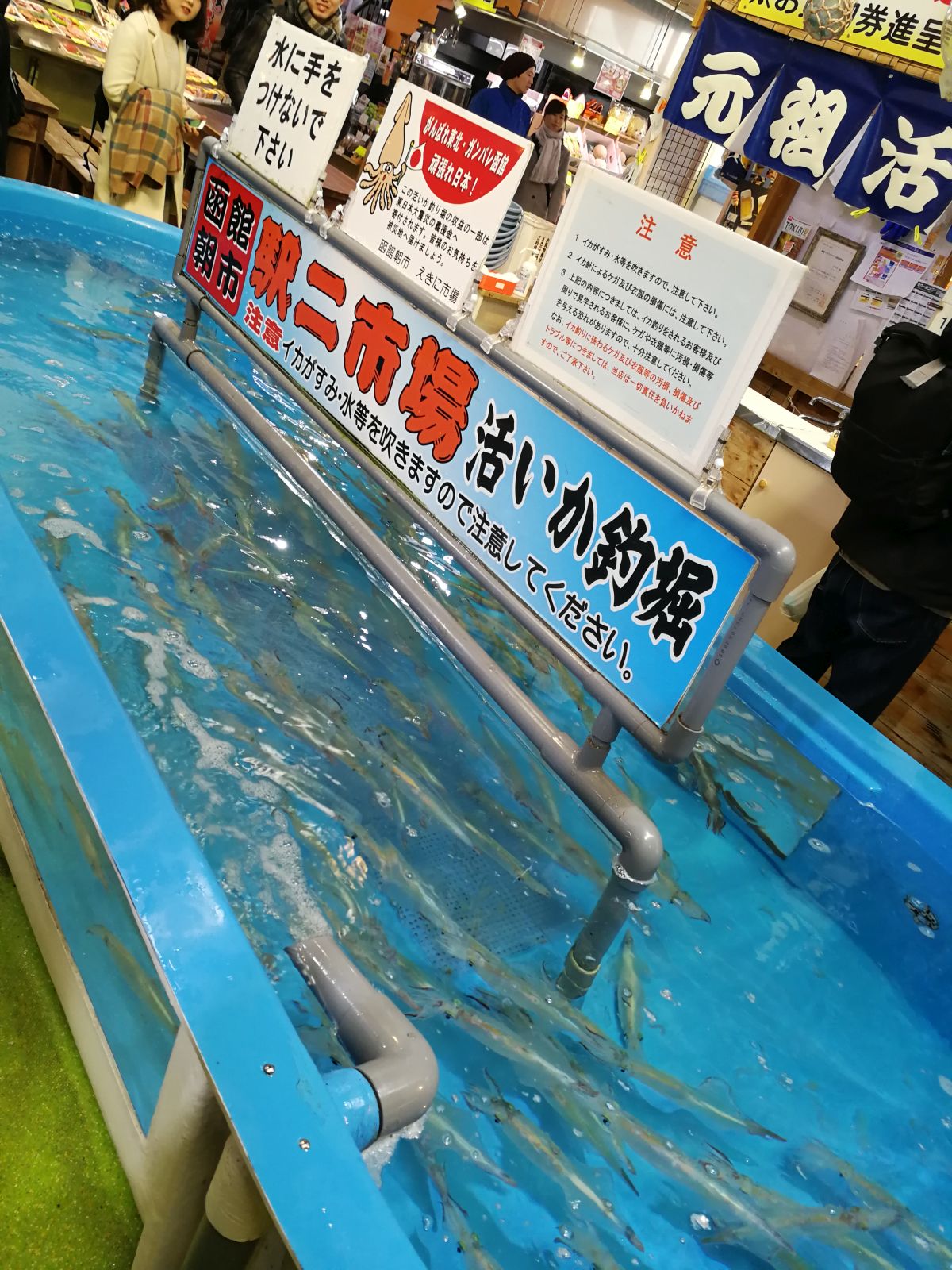 活きいか釣堀