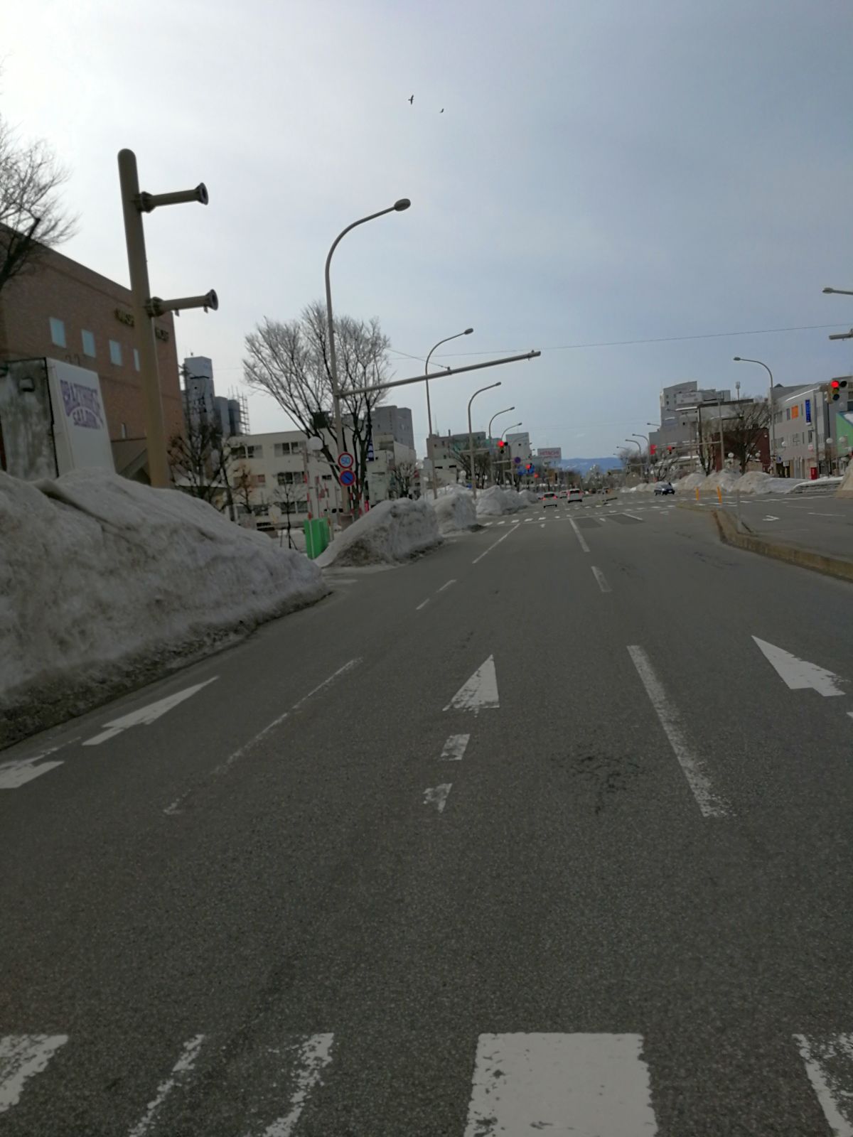 道路の雪