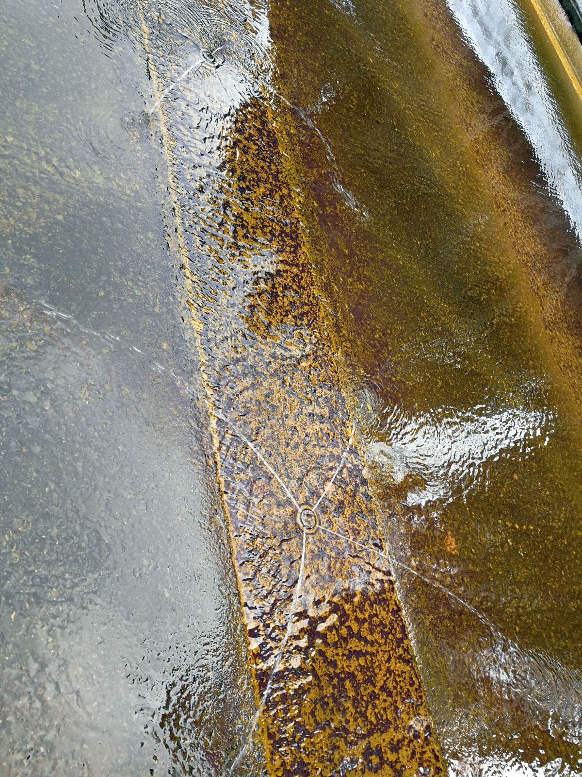 道路から水