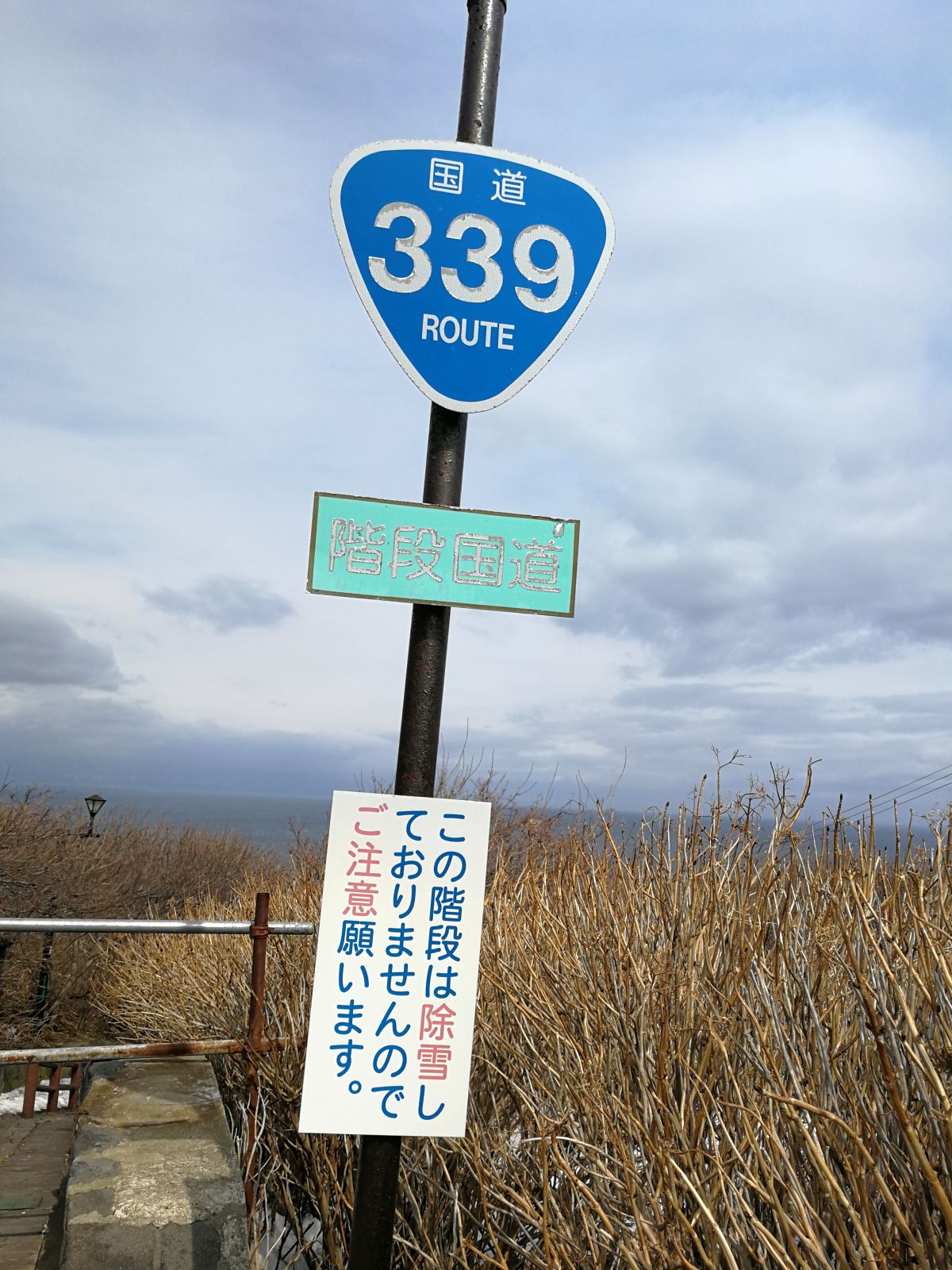 国道339号線